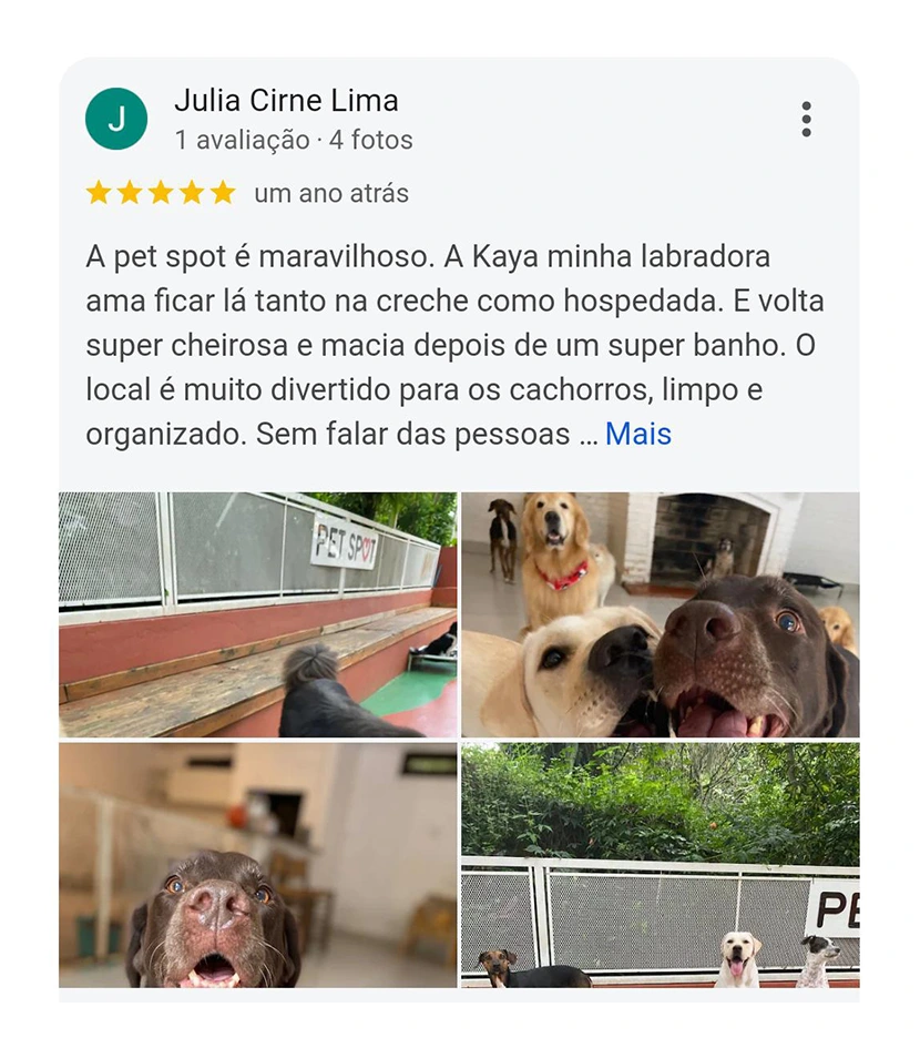 Avaliação 5 estrelas Pet Spot