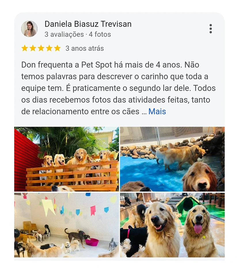 Avaliação 5 estrelas Pet Spot