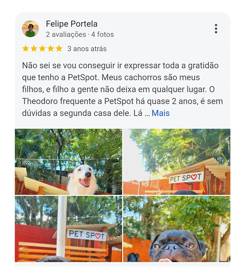 Avaliação 5 estrelas Pet Spot