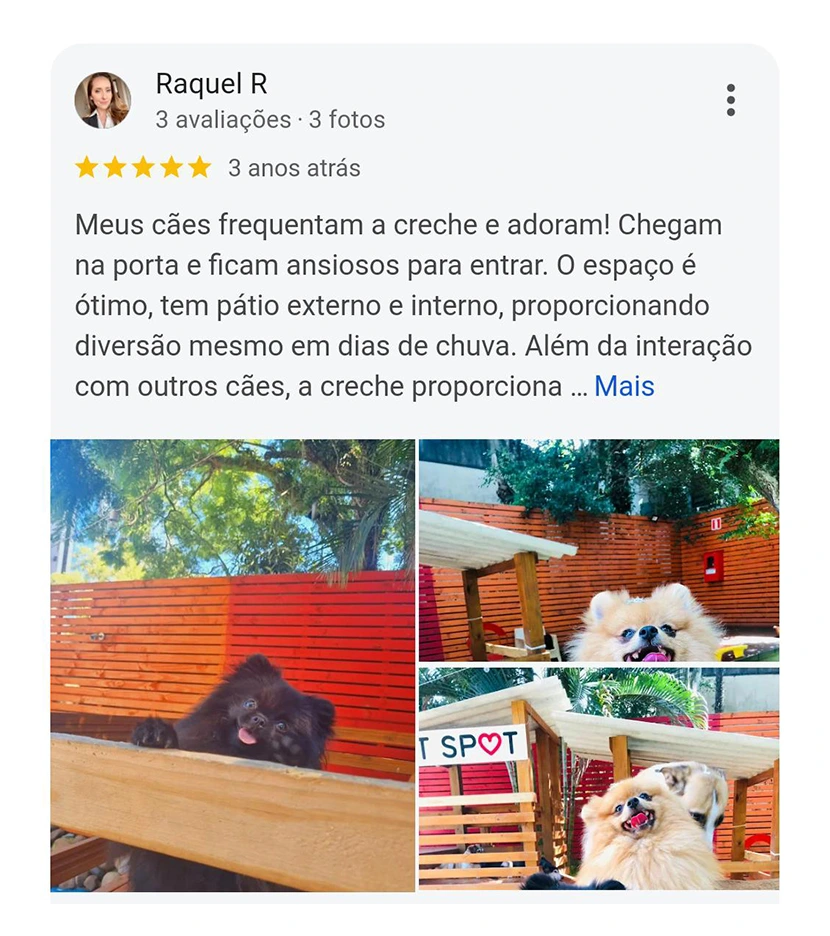 Avaliação 5 estrelas Pet Spot