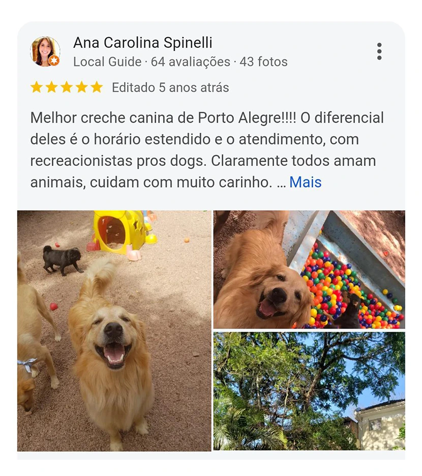 Avaliação 5 estrelas Pet Spot