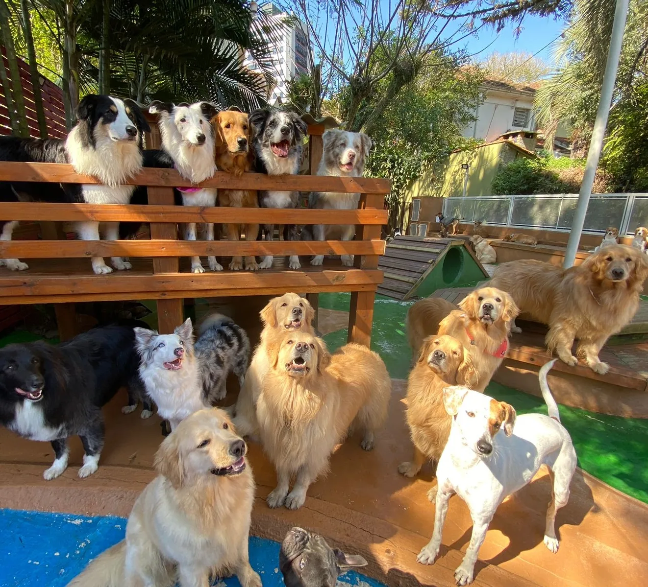 Estrutura do hotel Pet Spot