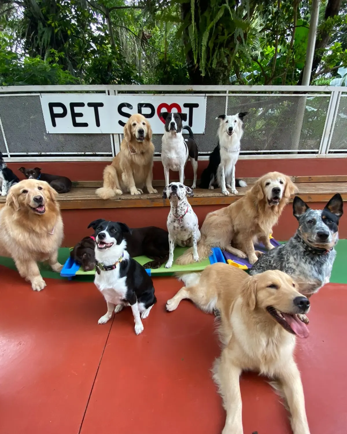Estrutura do hotel Pet Spot